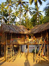 Mary-Clare, Arran and Fingal outside our coconut palm huts on the beach in Goa Mary-Clare, Arran and Fingal outside our coconut palm huts on the beach in Goa
