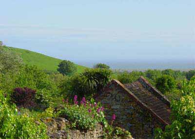 Abbotsbury - view from our bedroom window, by Andrew Green